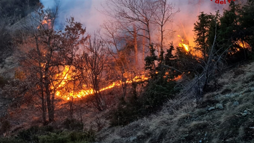 Dichiarazione dello stato di massima pericolosità per gli incendi boschivi su tutto il territorio regionale